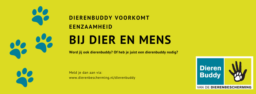 Dierenbuddy's in Vlaardingen gezocht (De Dierenbescherming)